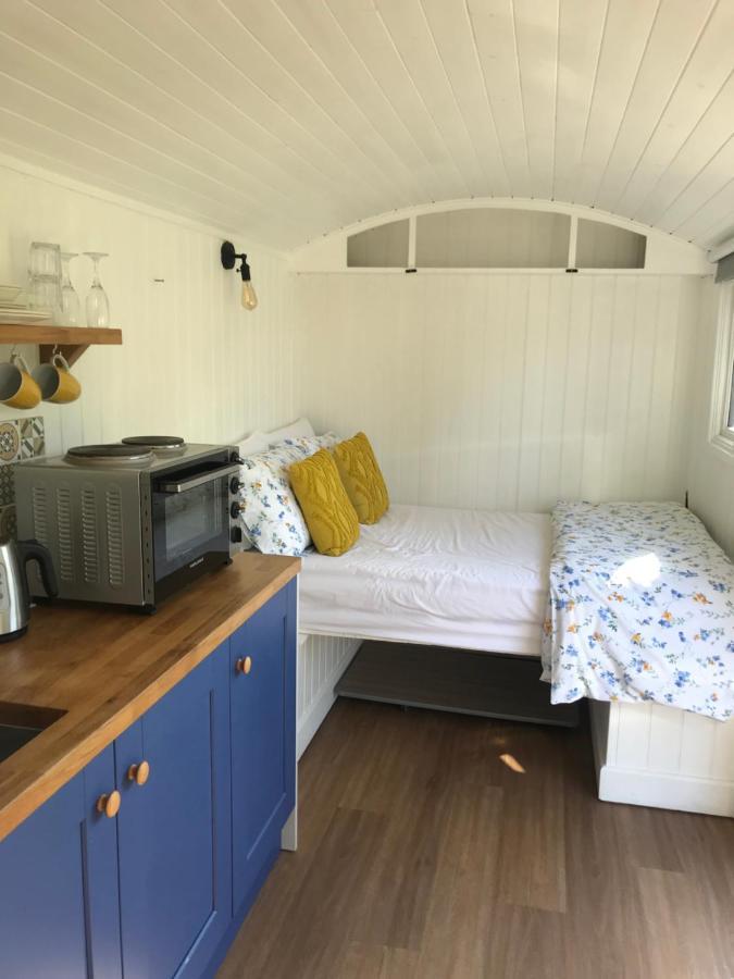 Shepherds Hut With Hot Tub ويلْزْ المظهر الخارجي الصورة