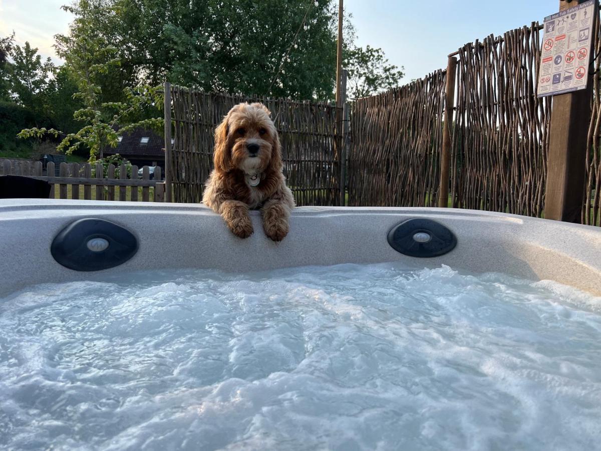 Shepherds Hut With Hot Tub ويلْزْ المظهر الخارجي الصورة